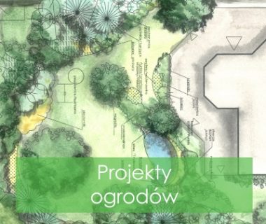 Projekty ogrodów