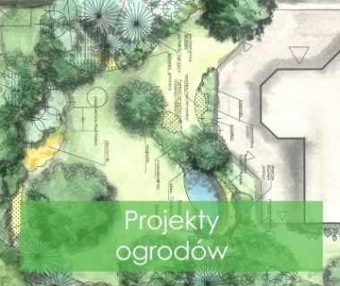 Projekty ogrodów