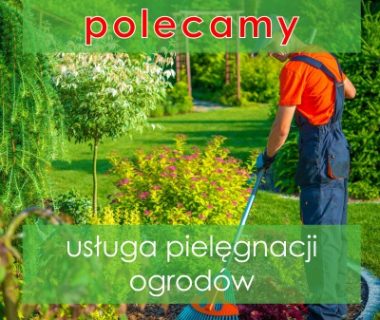 Pielegnacja ogrodów