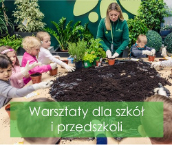 Warsztaty dla szkół i przedszkoli